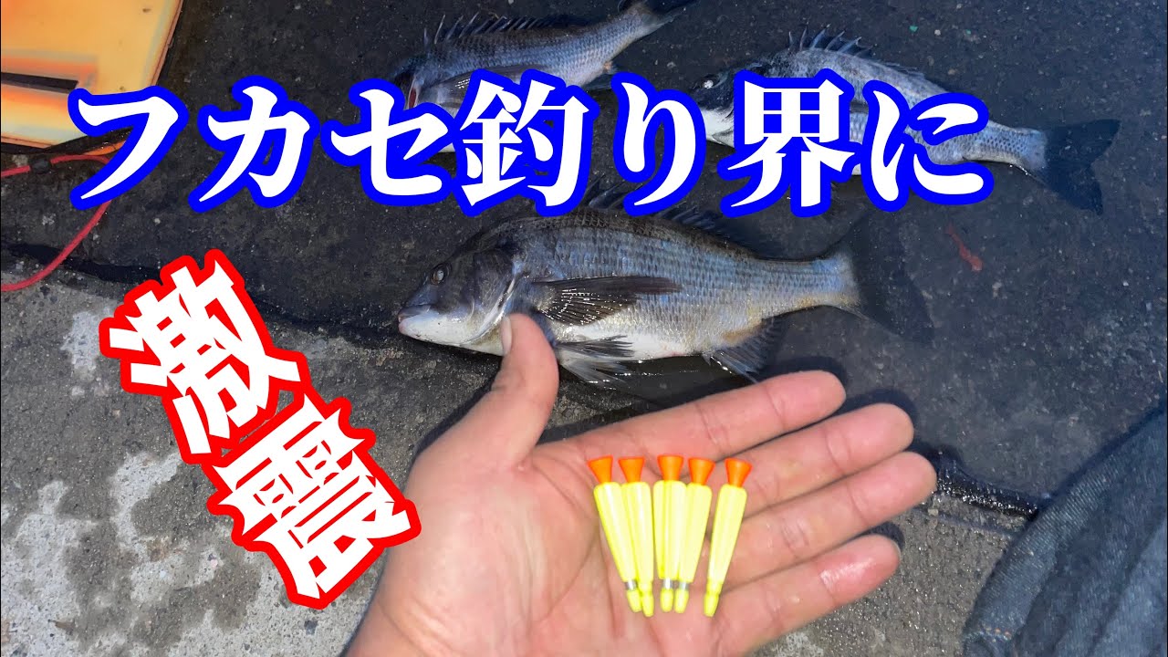 鮮烈デビュー！ウキもオモリも使わないNEOチヌフカセ釣り@tsurikenmovie