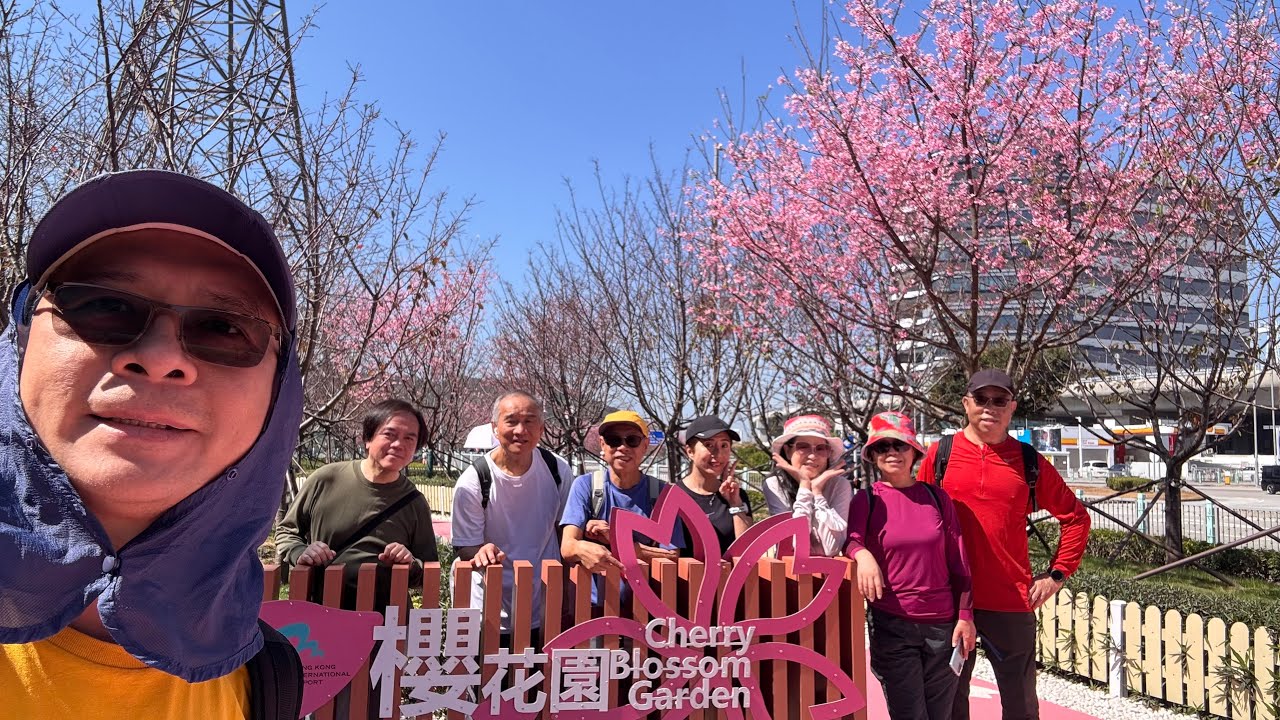 東涌睇櫻花, 香港輕鬆行山, Tung Chung Cherry Blossom Garden, HK easy hiking, Tung Chung Fort, Tung Chung Battery
