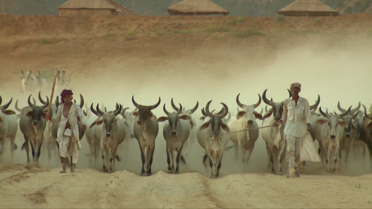 Pathmeda Documentary Film on 