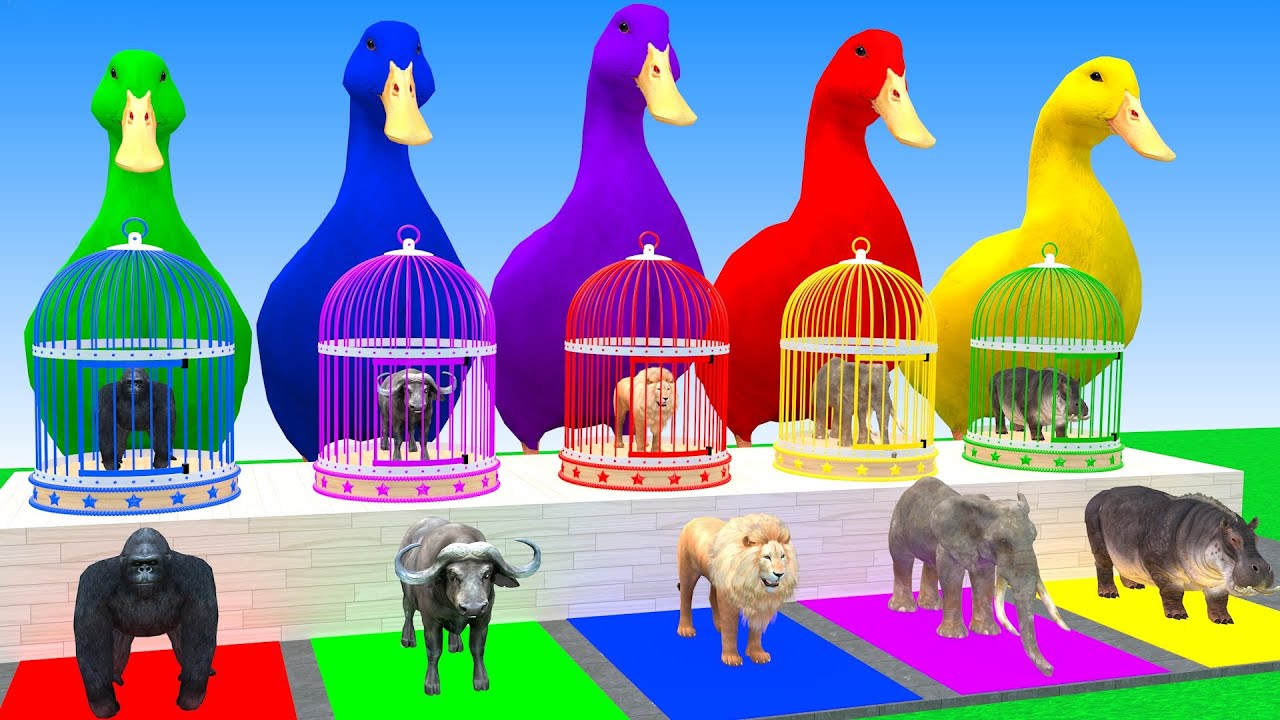 Long Slide Game With Elephant Gorilla Buffalo Hippopotamus Tiger 3d Animal Game Funny 3d Animals