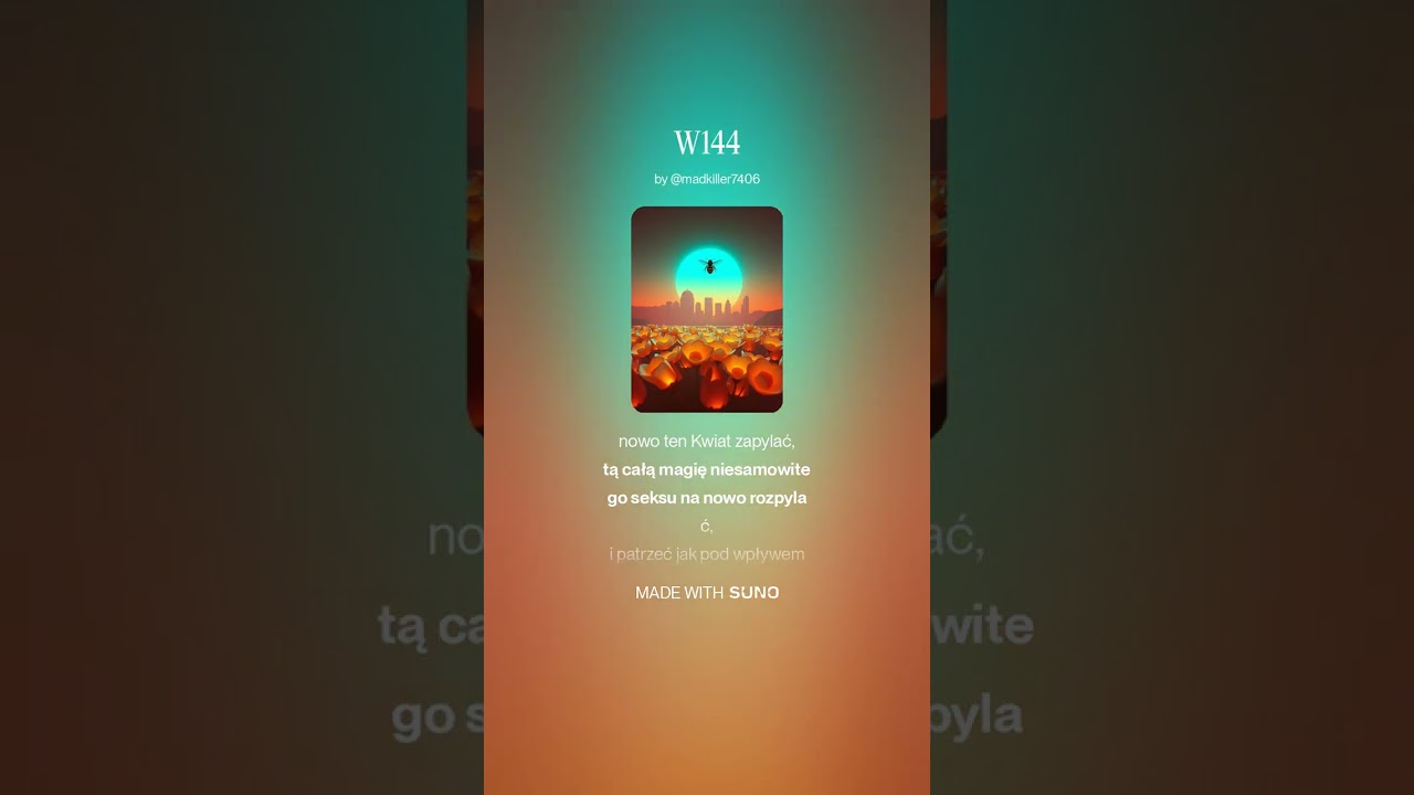W144 37