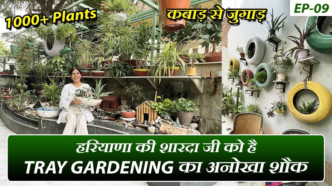 ट्रे गार्डनिंग का अनोखा शौक | कबाड़ से जुगाड़ करके लगाए 1000+ पौधे | Know How to do Tray Gardening