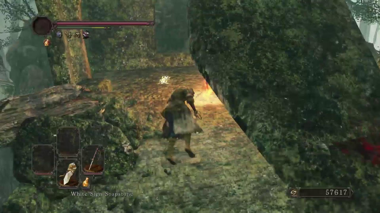 Ds2 run finally