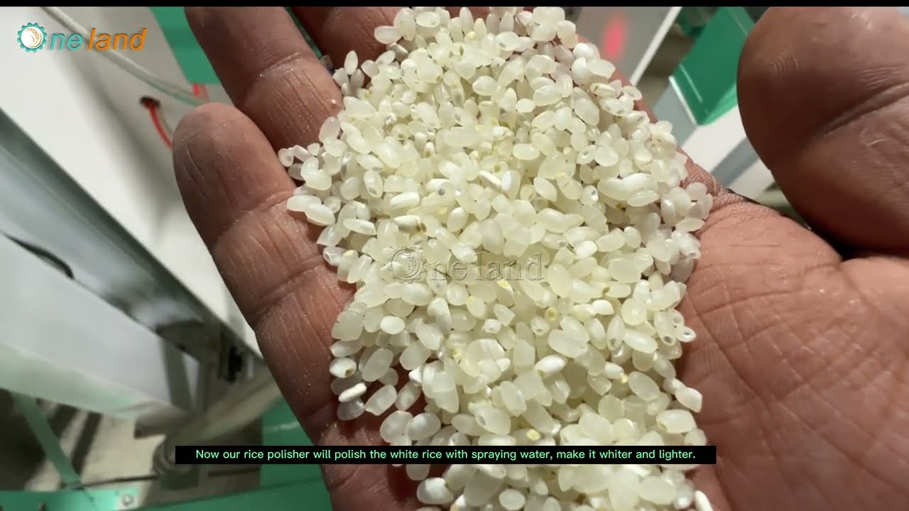 25 Ton Perday Auto Rice Mill Machine | Automatic Rice Milling Machine