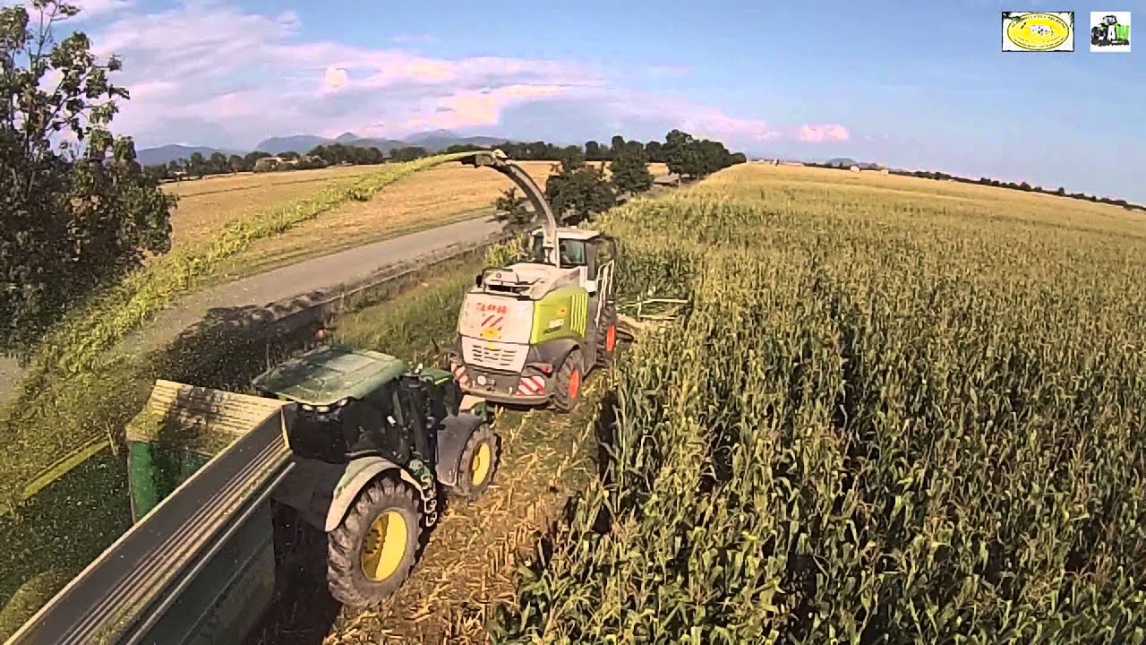 Claas Jaguar 980 / Trinciato 2015 - Chopping Corn 2015 Agromeccanica Negroni