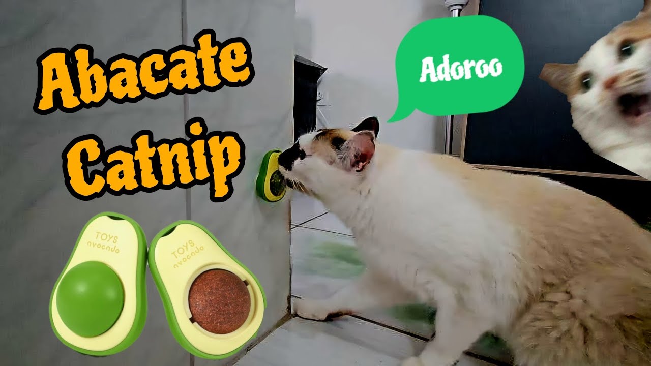 Brinquedo em formato de abacate com bolinha de Catnip