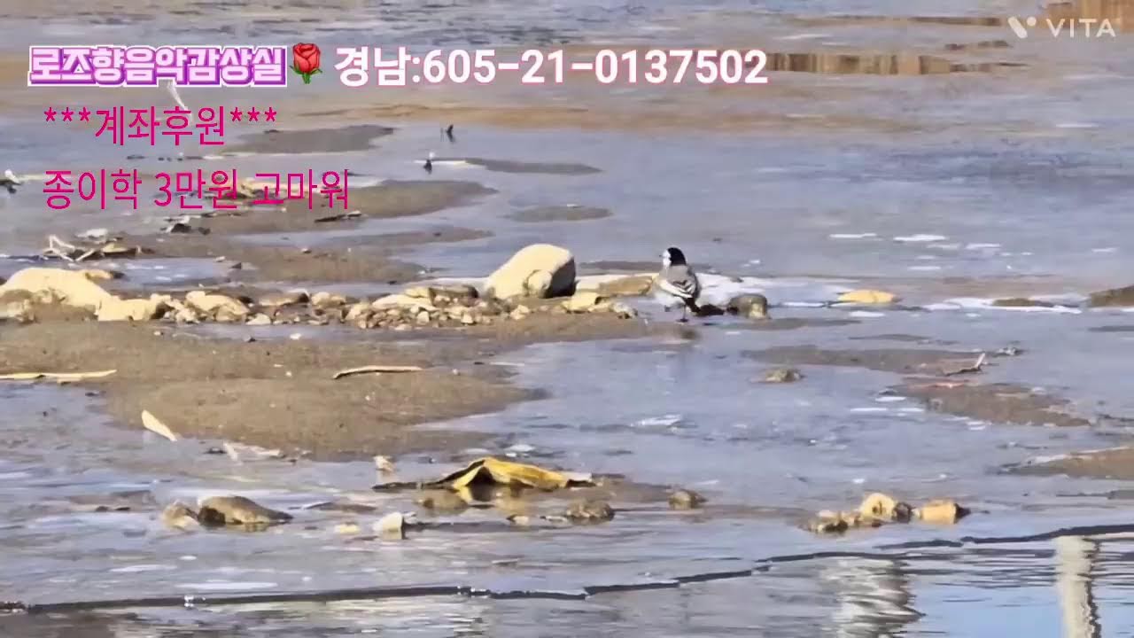 #같이 음악들어요#음악방송#라이브#커버곡 26.2.4.저녁방송