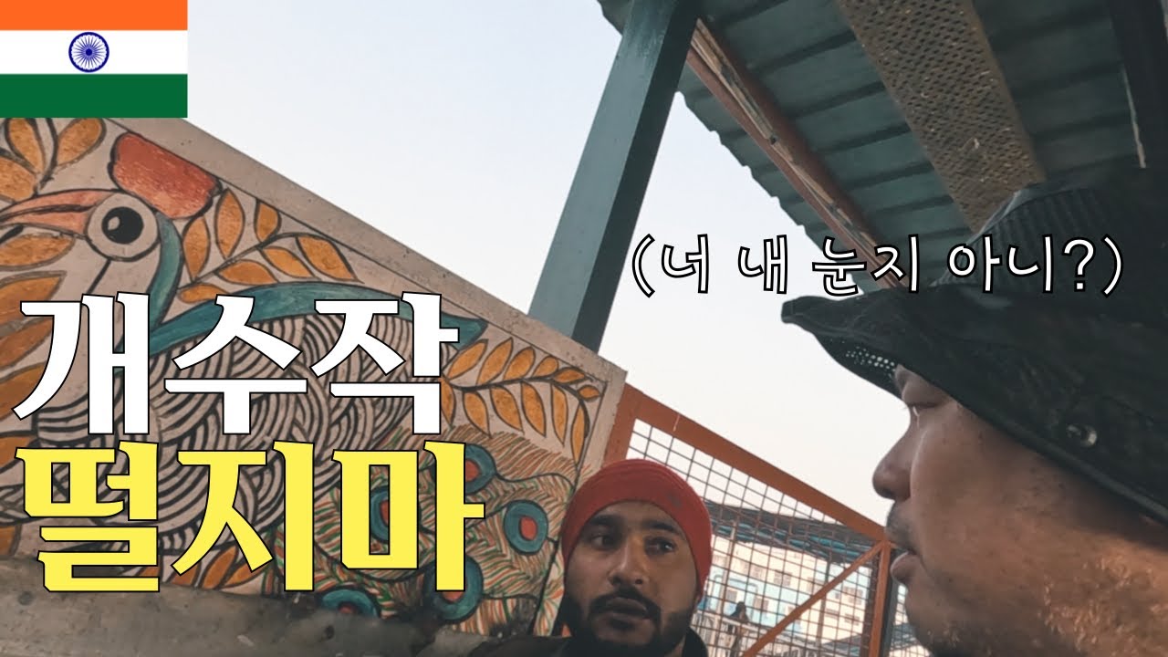 🇮🇳 사기치는 인도삐끼를 이겨내고 뉴델리공항에서 빠하르간지까지 가보자 - 인도(번외)