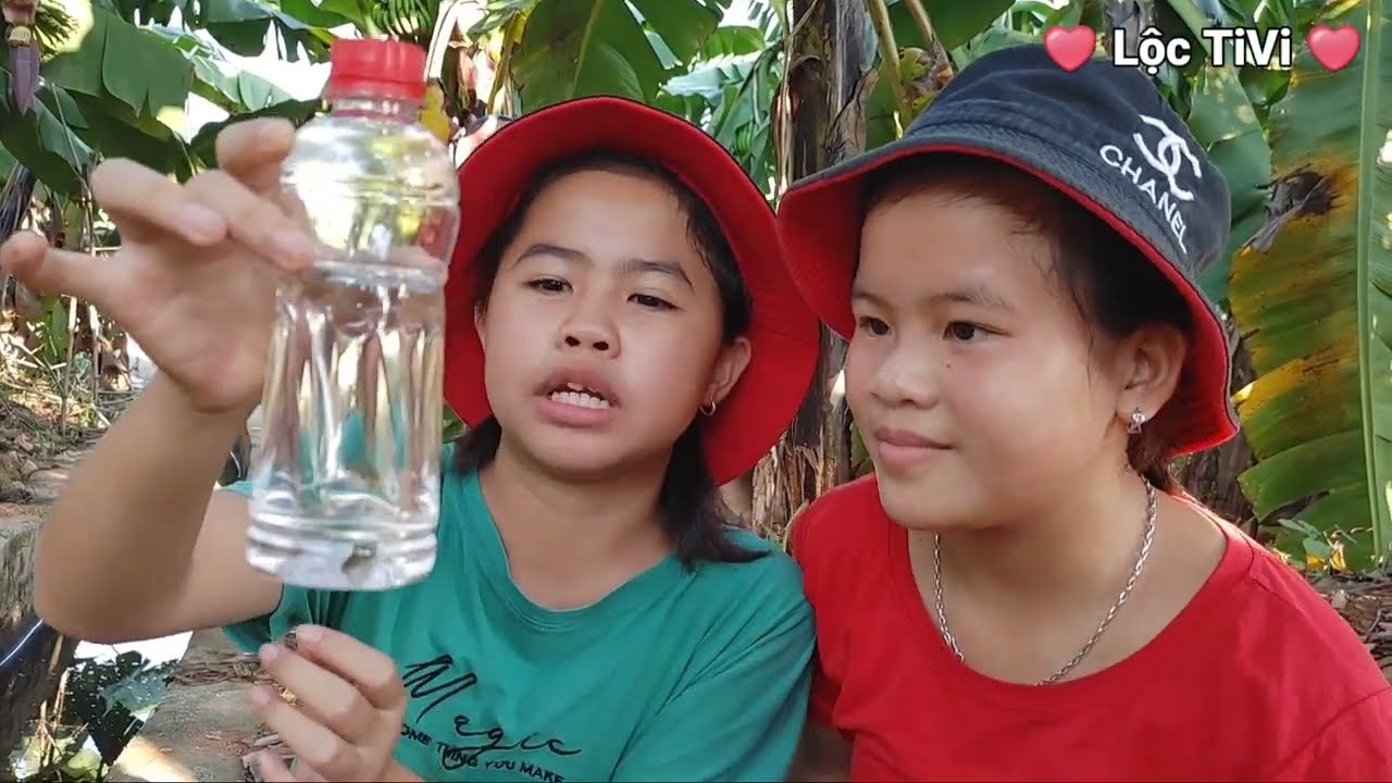 Lộc TiVi đi xúc các con vật Cá, Tôm, Cua, Ốc, được nhiều Cá Cờ rất đẹp 🐟
