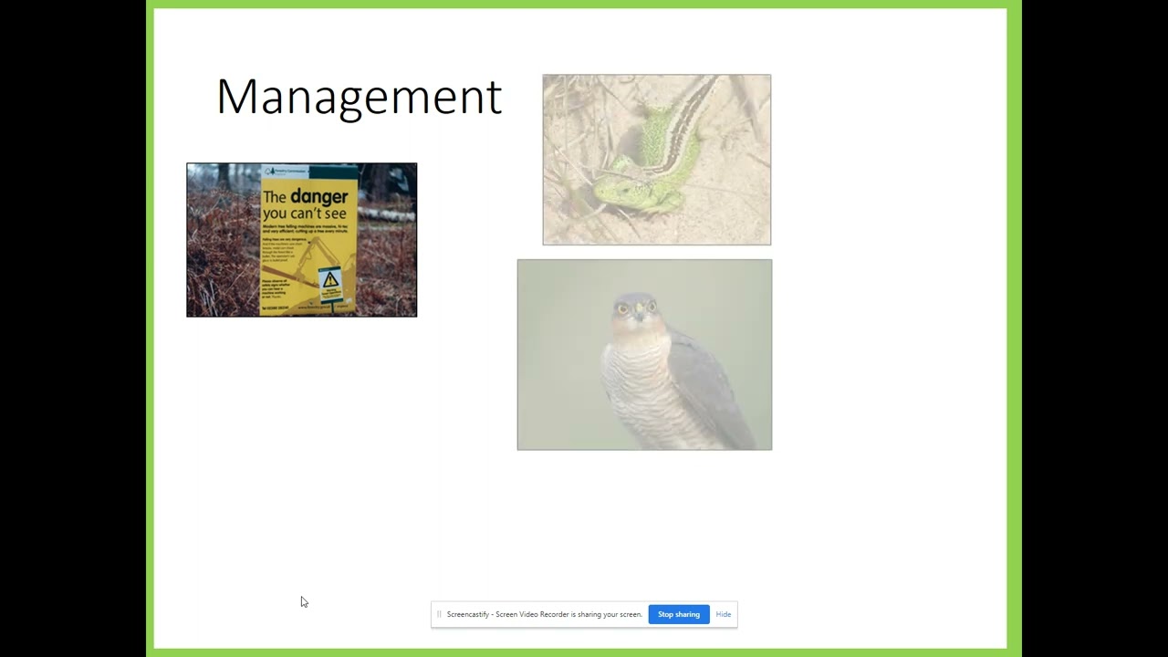 Deciduous Woodland Threats and New Forest Case Study Geography Y10&11