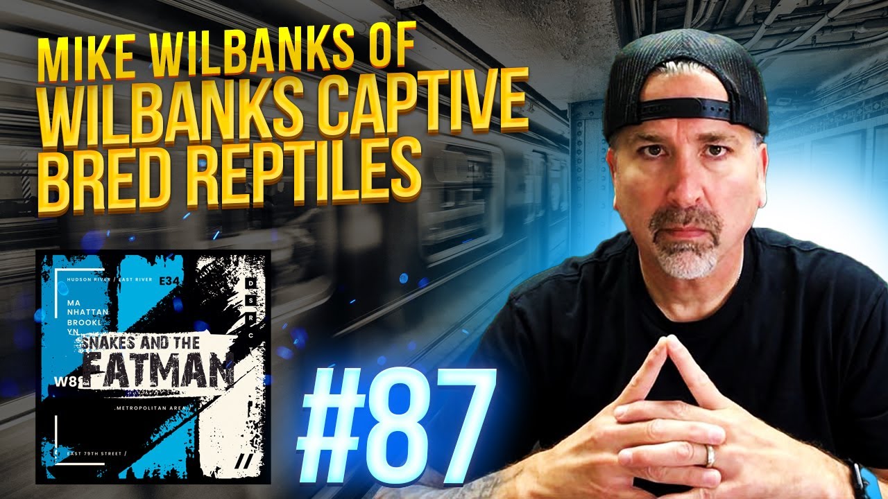 SATFM Episode 87 - Mike Wilbanks | Wilbanks Captive Bred Reptiles