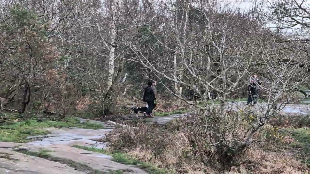 4K/60FPS 🚶Walking along Bidston Hill 🚶19/02/26 