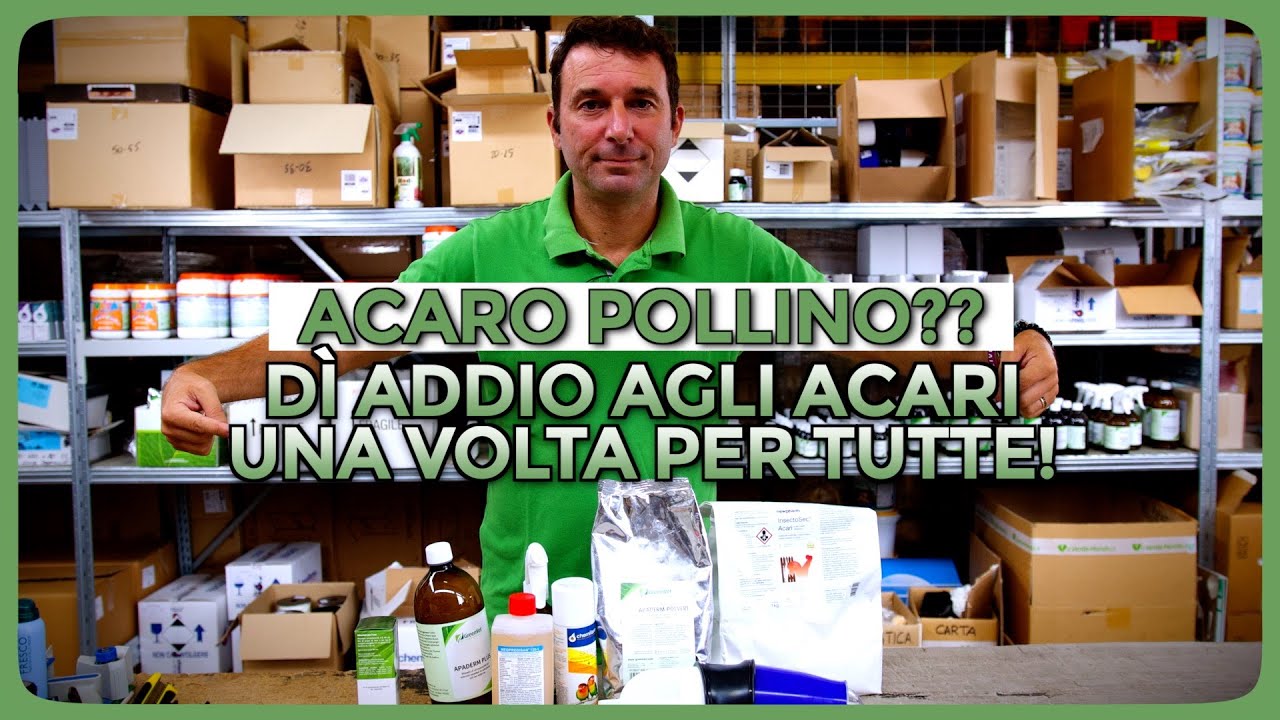 Come eliminare l&rsquo;ACARO POLLINO definitivamente dal pollaio: rimedi e prodotti pratici ed efficaci