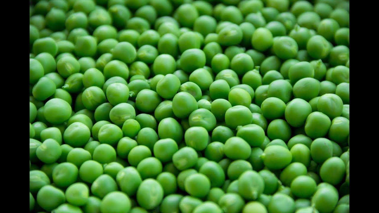 Green Peas 101-Fresh vs Frozen vs Canned