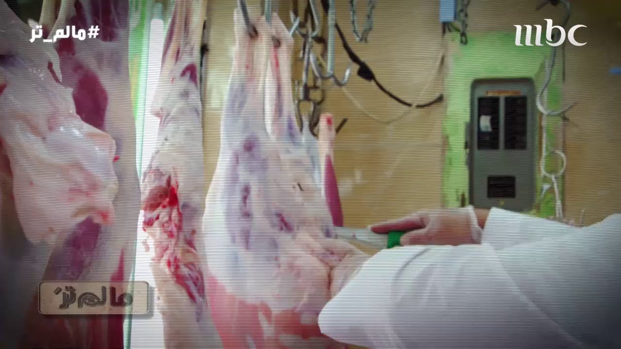 شاهد كيف يتم الكشف عن البكتيريا في اللحوم.. وطريقة معرفة مصدرها ونوعها