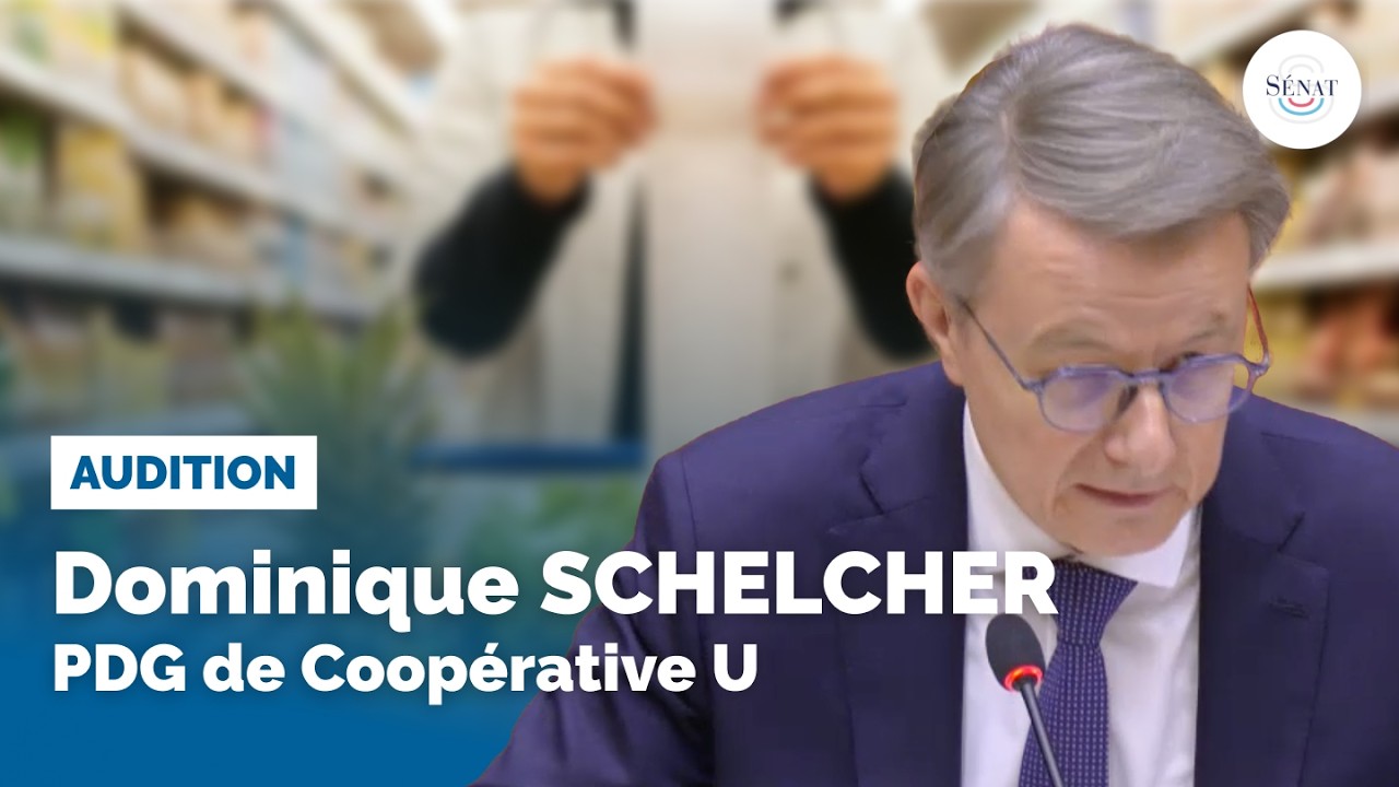 Grande distribution : Audition de Dominique Schelcher