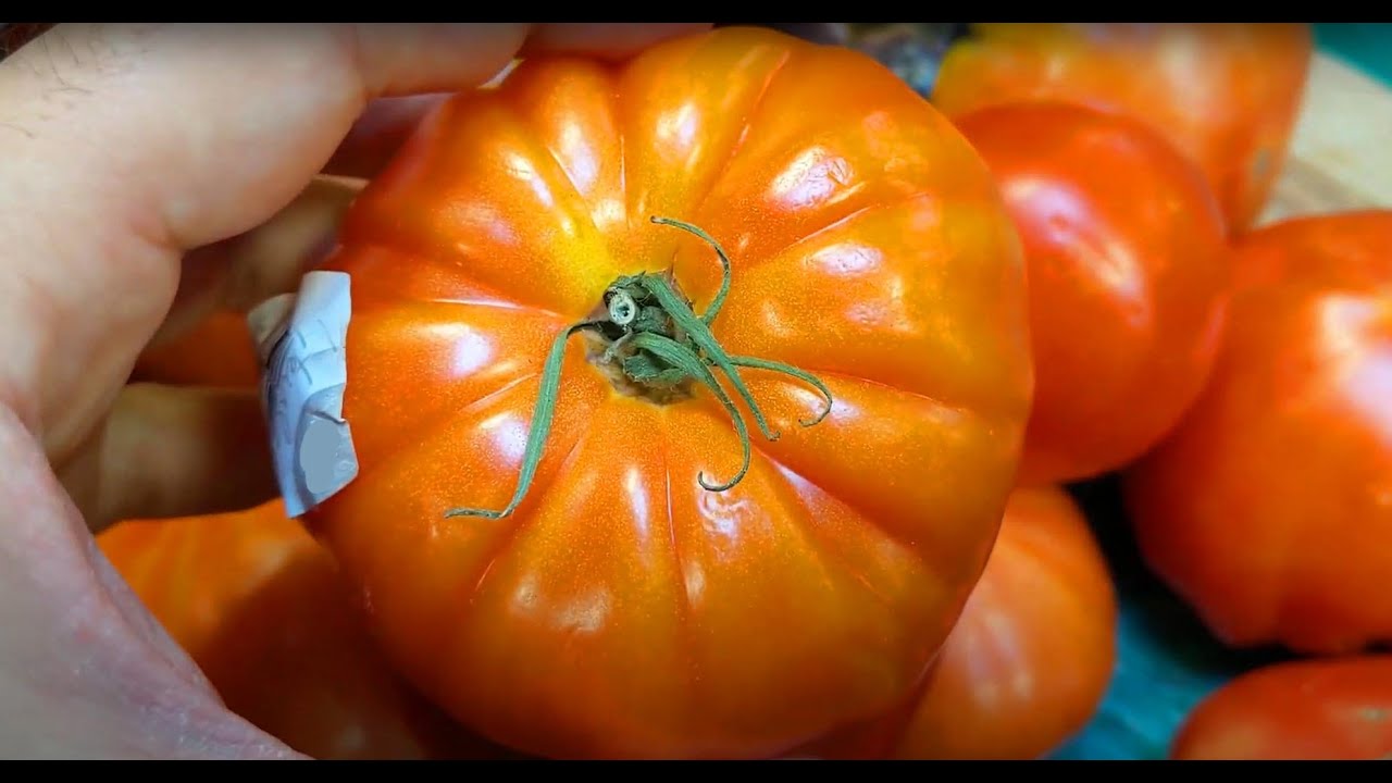 Как выбрать помидоры в магазине | Tomato 101