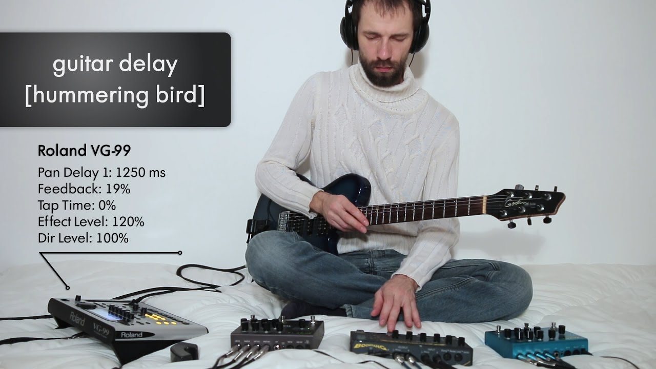 Guitar Delay: Hummering Bird (Boomerang Looper, Roland VG 99, Strymon TimeLine, BigSky, Ebow)