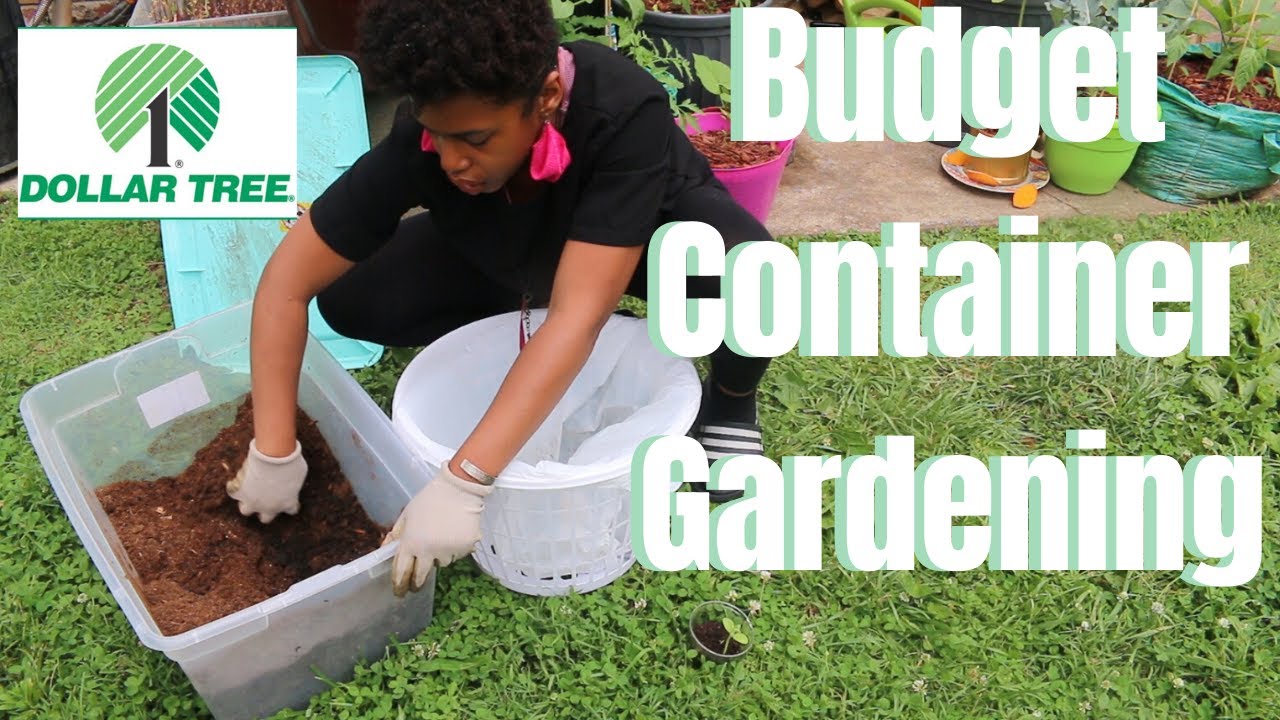 Gardening with a Dollar Store Laundry Basket|Black Girls Grow