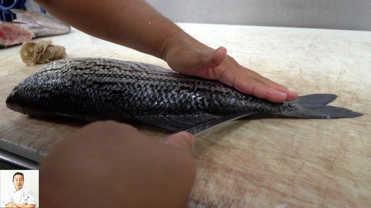 How To Fillet A Striped Bass & Kampachi Fish | Fresh And Delicious Sustainable Eating