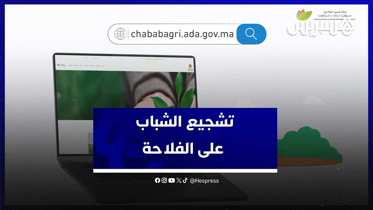منصة 