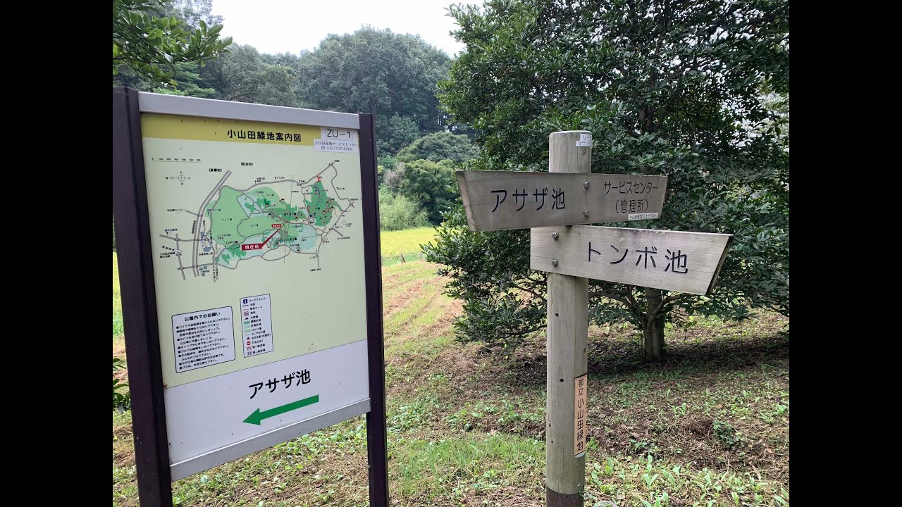 2020 09 21 東京里山ライド（裏尾根幹）