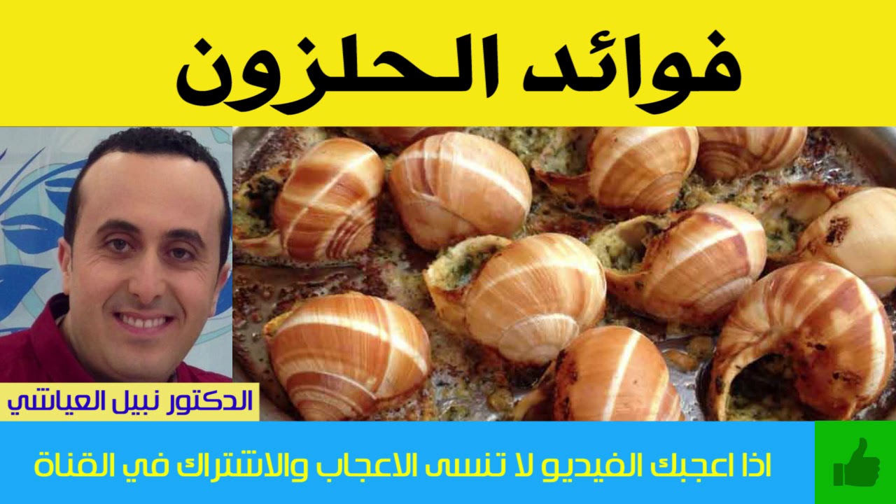 هل تعرف فوائد  أكل الحلزون ؟ | الدكتور نبيل العياشي