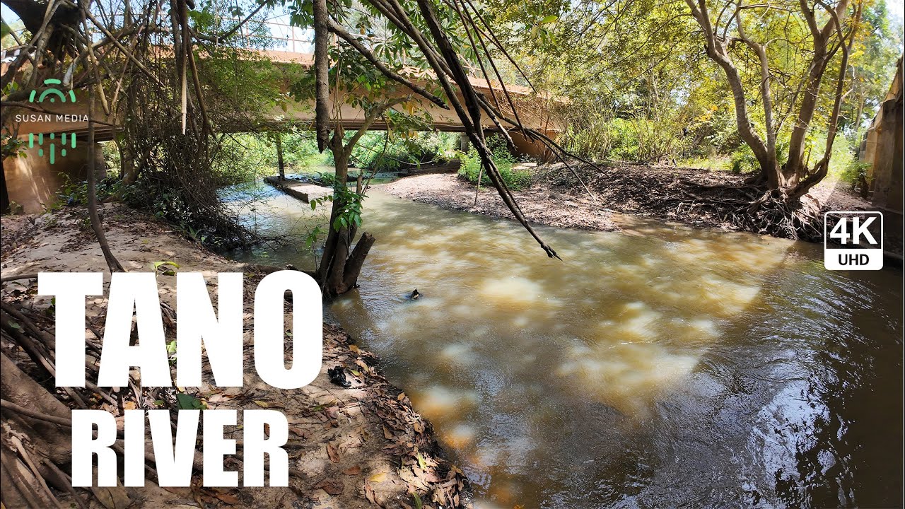 Tano River flows from Traa Ghana through Ivory Coast into the Atlantic Ocean 4K