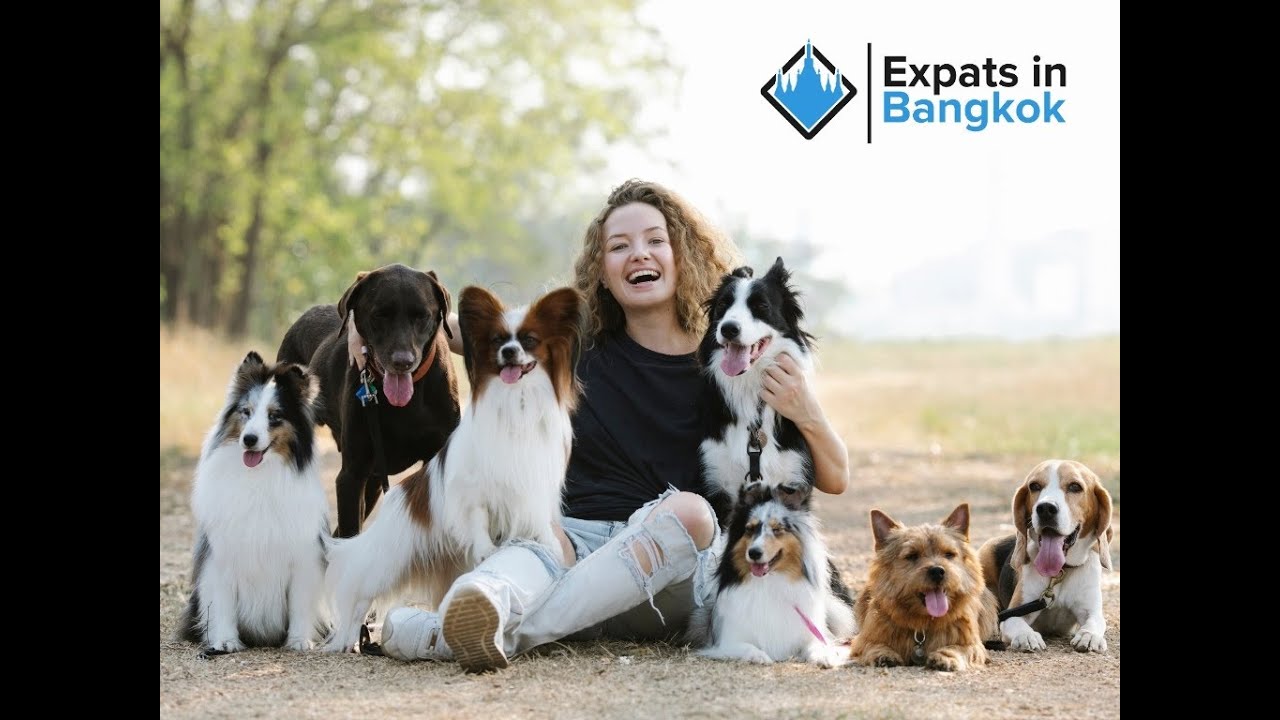 Dog-Friendly Bangkok! Parks, Caf&eacute;s & Resorts You&rsquo;ll Love 🐶