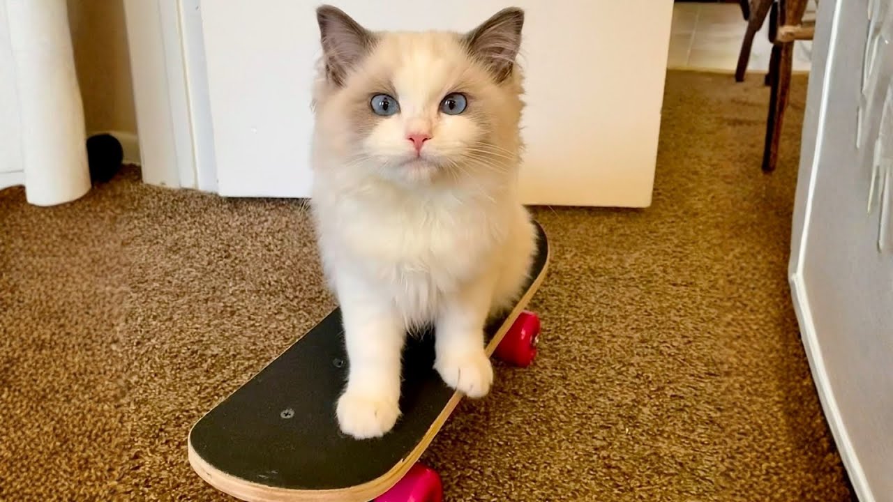 She Found Her True Self the Moment the Skateboard Moved