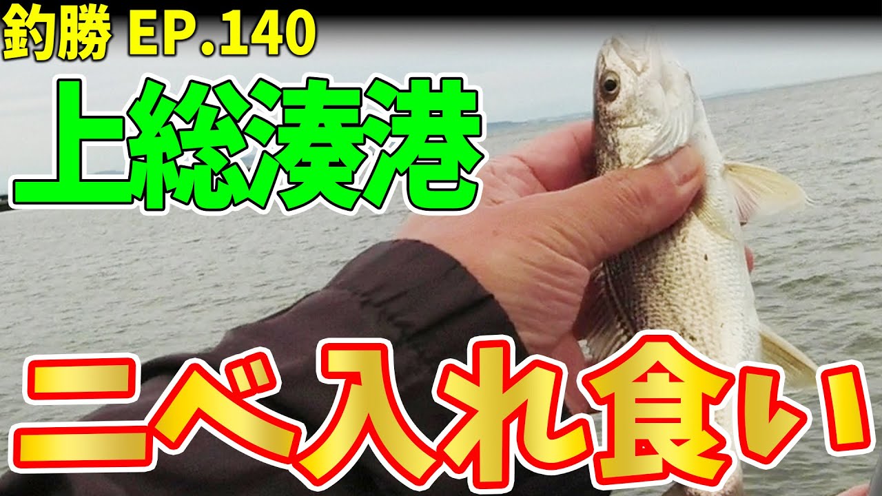EP.140【千葉内房キス釣り】上総湊港でキス釣りをしてたら意外な魚が入れ食い
