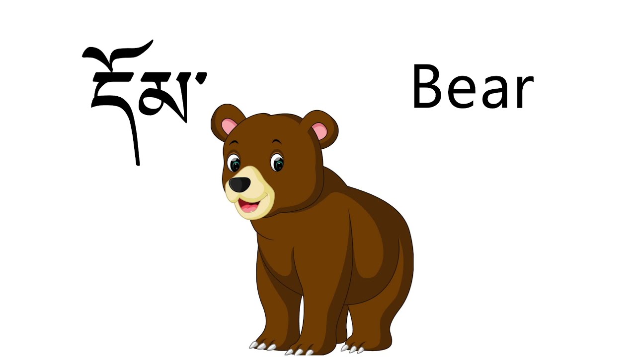 Tibetan names of some Animals and Birds | Tibetan Learning| Tibetan for kids|