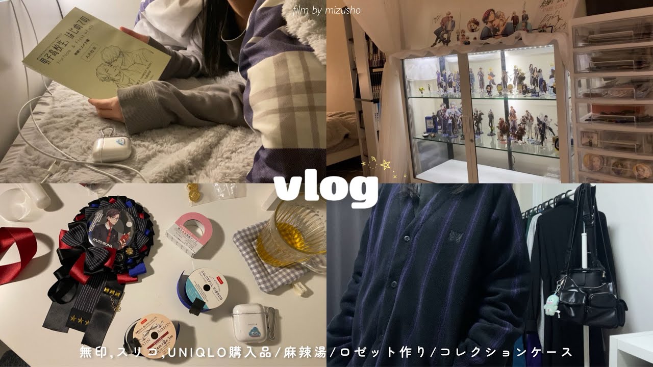 〘vlog〙2025年やりたいことリストを駆け込みで消化する休日⛹🏻‍♀️💨┆スリコ,無印,UNIQLO購入品┆麻辣湯┆ロゼット作り┆コレクションケースにテープライト取付け🪄┆𝟹𝚍𝚊𝚢𝚜 ⸝ 𖤐