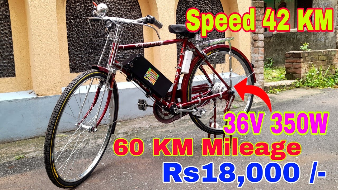 20 Inch Desi Cycle High Speed Hub Motor 36 Volt 350 Watt