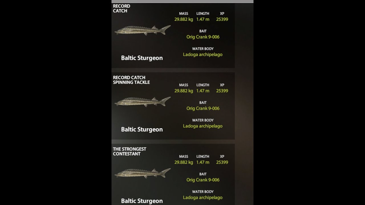 baltic sturg