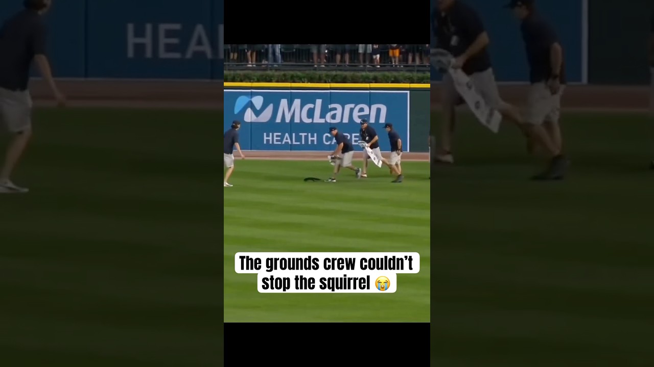 THE SQUIRREL WAS BREAKING ANKLES OUT THERE 😂