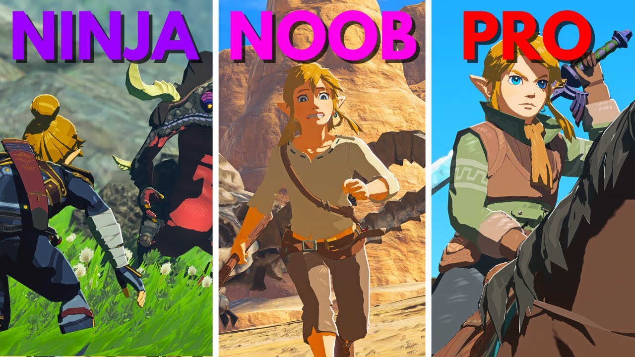 5 Types of Botw Players!