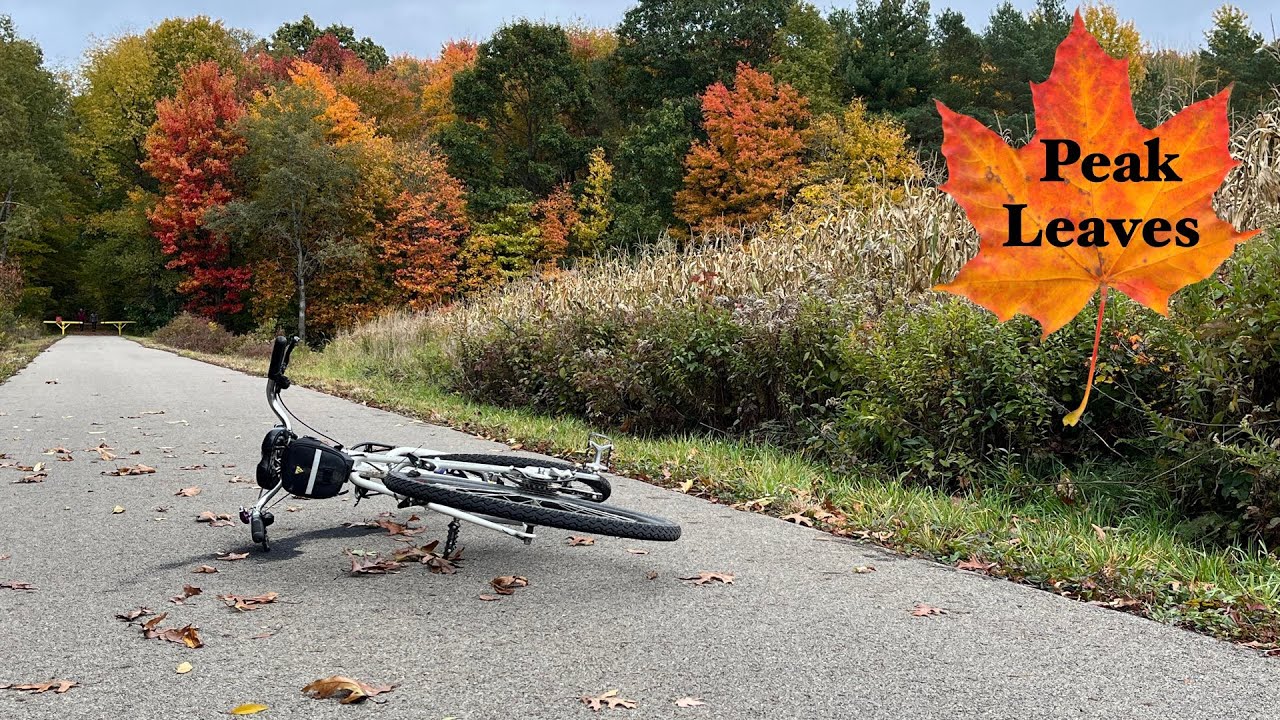 Mid October Leaves on the Knox and Kane. Leeper to Lucinda