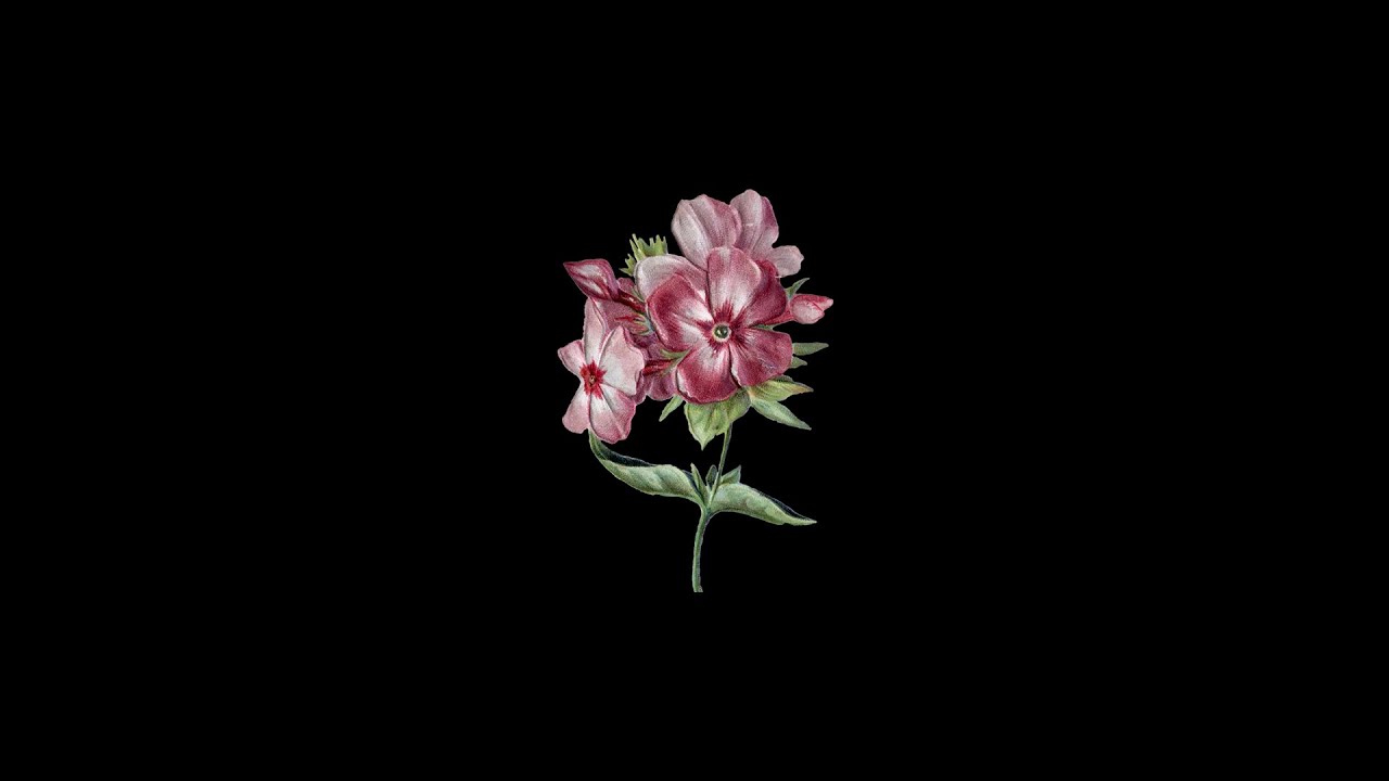 [FREE] Phora x NF Type Beat 2021 