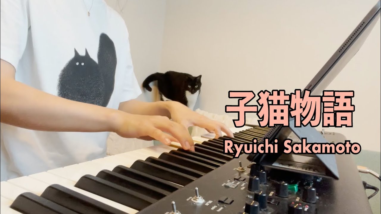 子猫物語 / Ryuichi Sakamoto #坂本龍一  Covered by #KanakoHara #はらかなこ