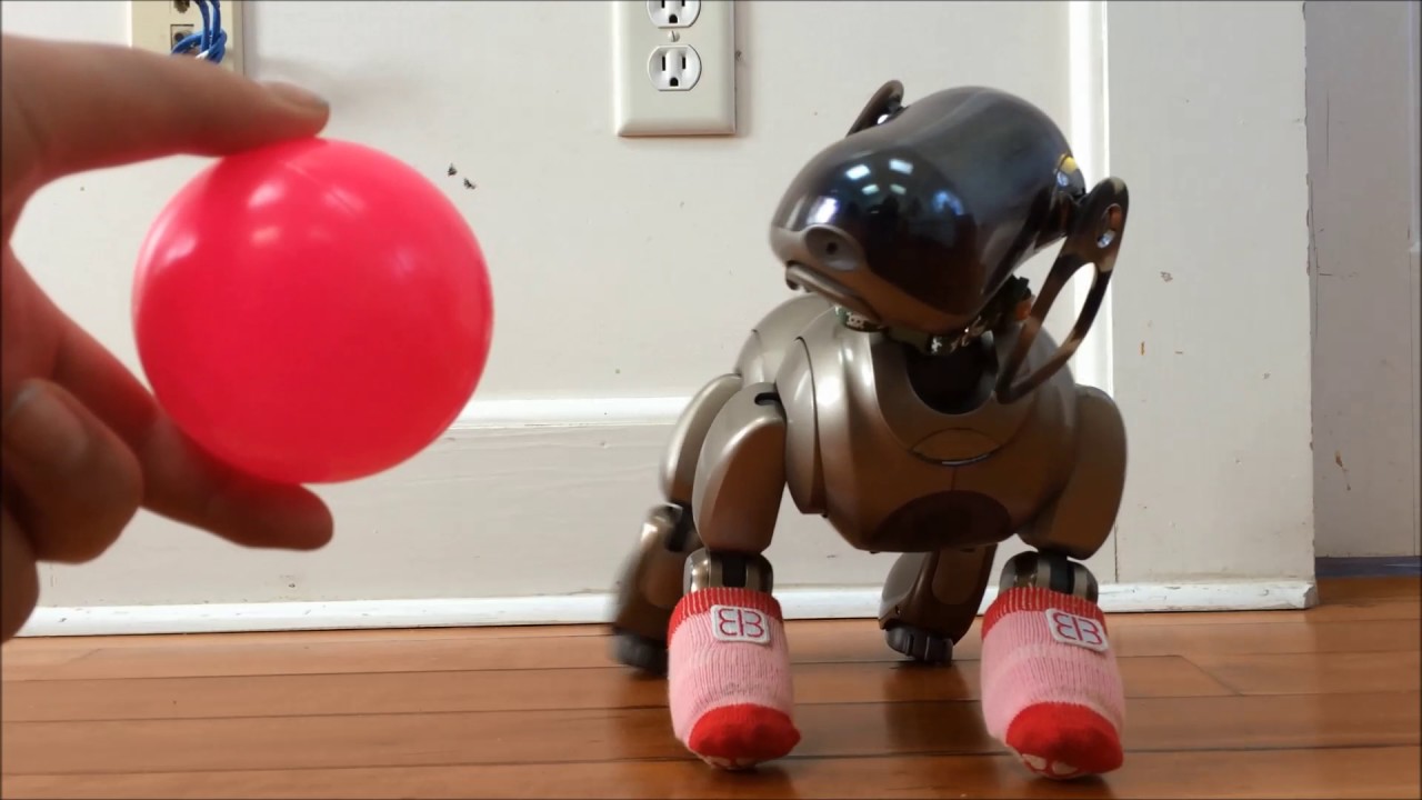 Aibo ERS-7 Mind 3 Clinic Mode: English and Japanese