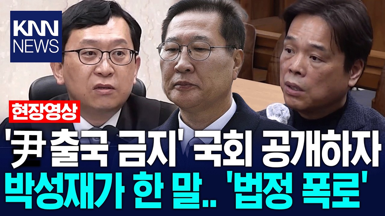 '윤석열 출국금지' 국회에 공개하자 박성재가 꺼낸 말? '법정 폭로' / KNN