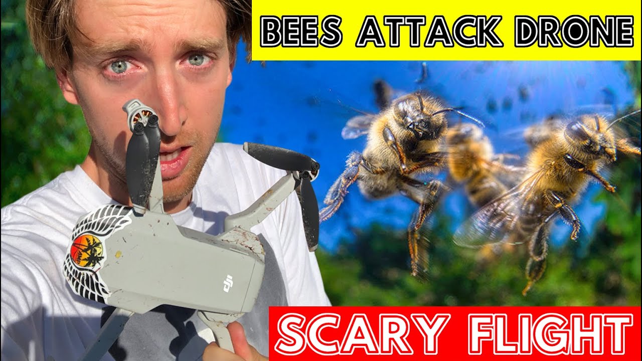 Bees Attack Drone!!! Swarm of bees attacking my DJI Mavic Mini. Crazy Footage.