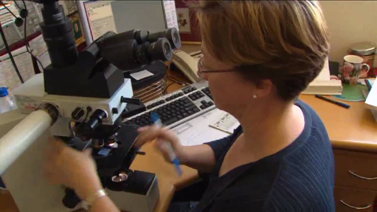 Day in the Life - Anatomical Pathology - Dr Adrienne Morey
