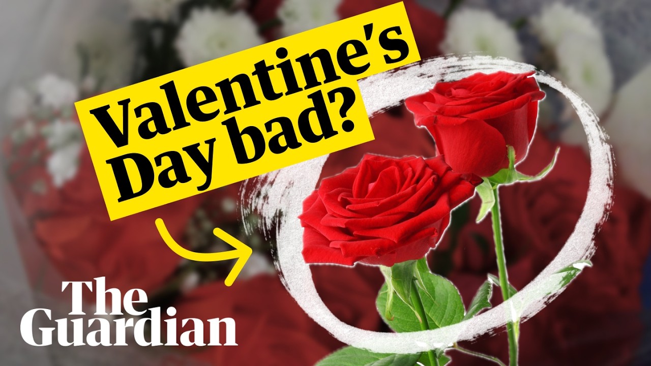 Why red roses on Valentine's Day are so bad for the planet