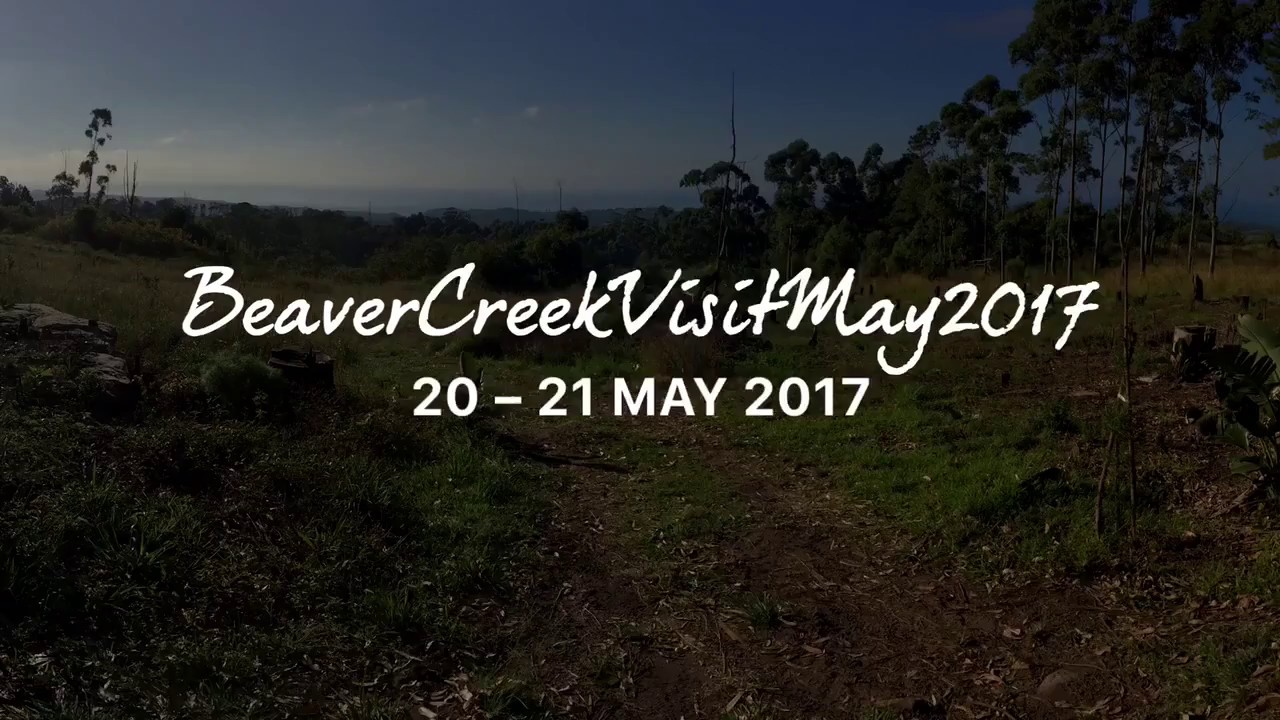 Beaver Creek Coffee Farm Visit May 2017 - HD