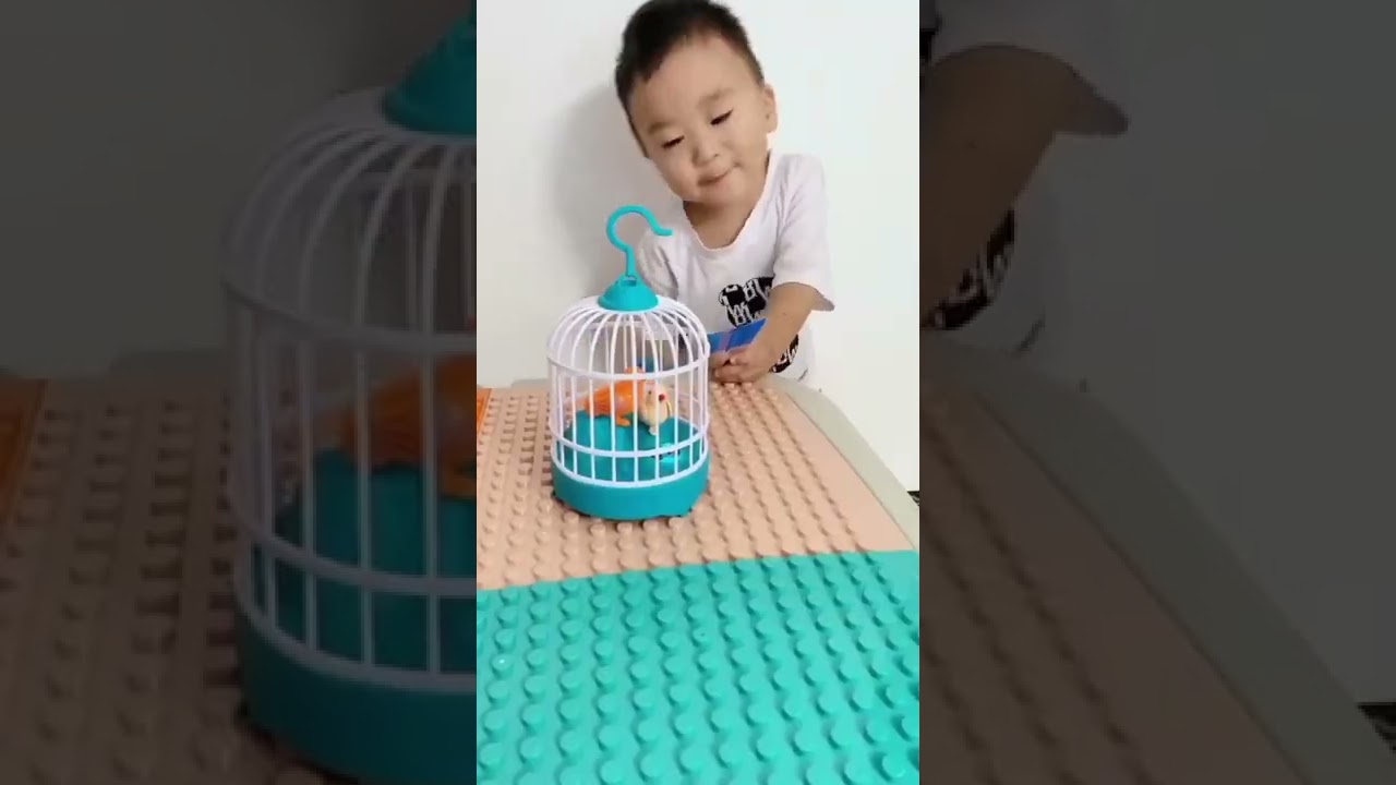 Bird toys with Singing & Chirping In Cage - Moving Tail Sound reacted And Battery Operated