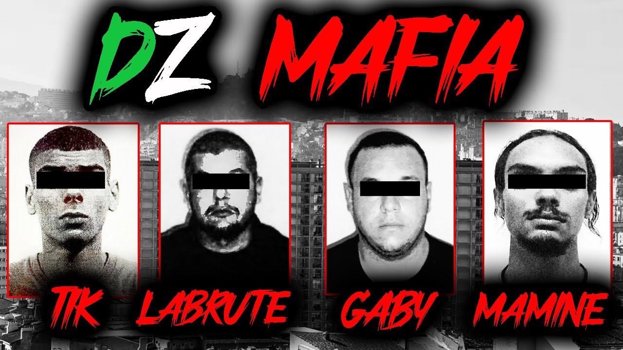 DZ MAFIA, l'histoire complète d'un cartel 