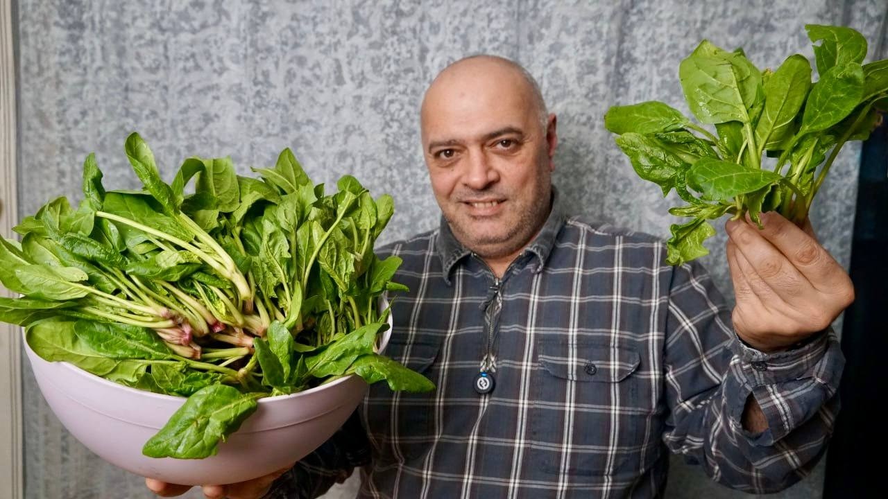 Шпинат по-грузински — Простое и вкусное блюдо!