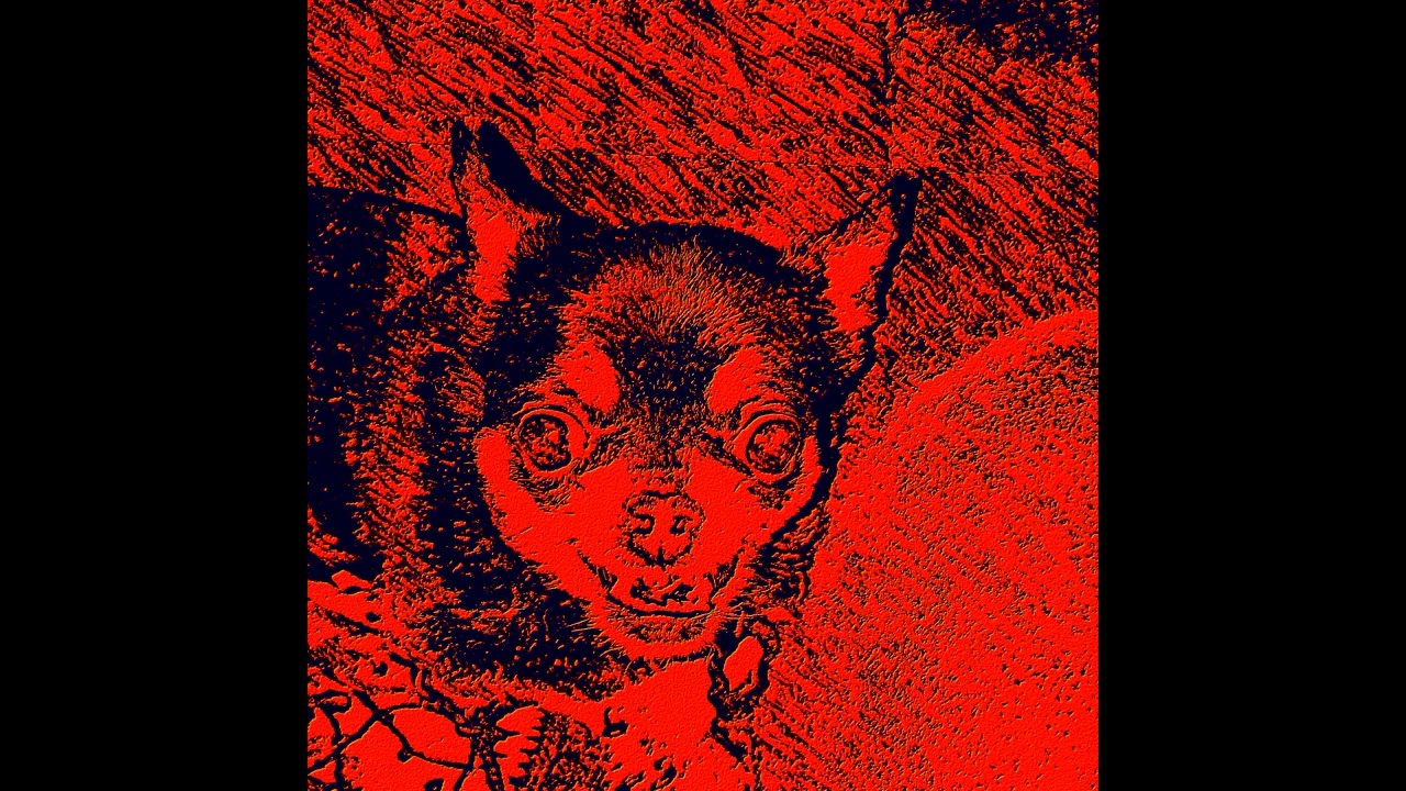 WORM-BASED NOVEL - SADNESS/LONGING/DESPAIR (FULL ALBUM)